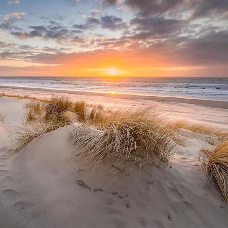 By The Sea * Julianadorp